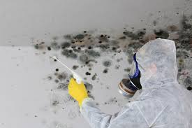 Best Residential Mold Inspection & Testing  in Wellington, KS